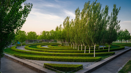 Beijing_garden_expo_-_5_years_later